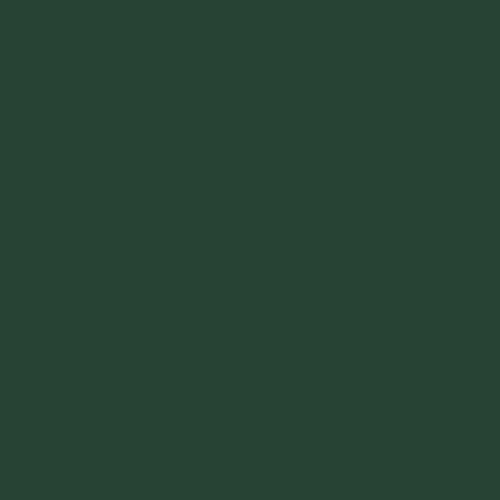 ANONER Queen Size Fold Out Couch Bed with Memory Foam, 2 Pillows, Dark Green