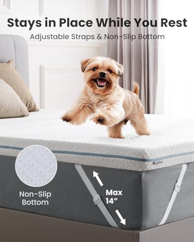 Dreamsmith 2 Inch Cooling Gel Memory Foam Mattress Topper for Back Pain