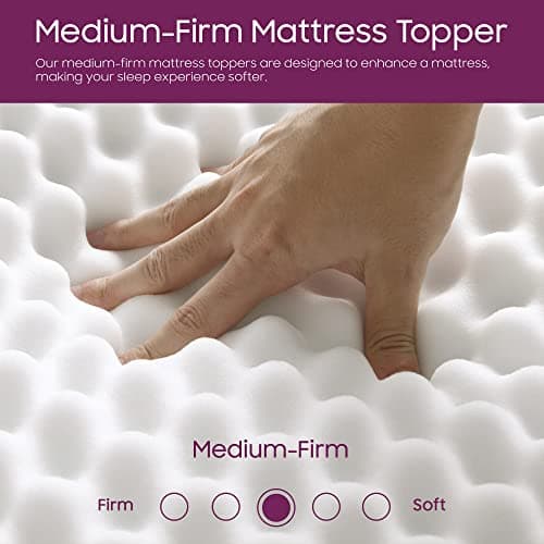 Mayton Convoluted Egg Shell Foam Bed Topper, Queen, Off-White | Comfort, Pain Relief, Orthopedic Support