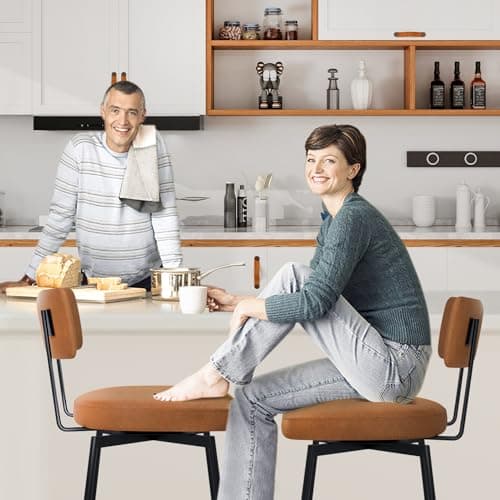Modern Swivel Barstools Set of 2 for Bar, Kitchen, Dining Room