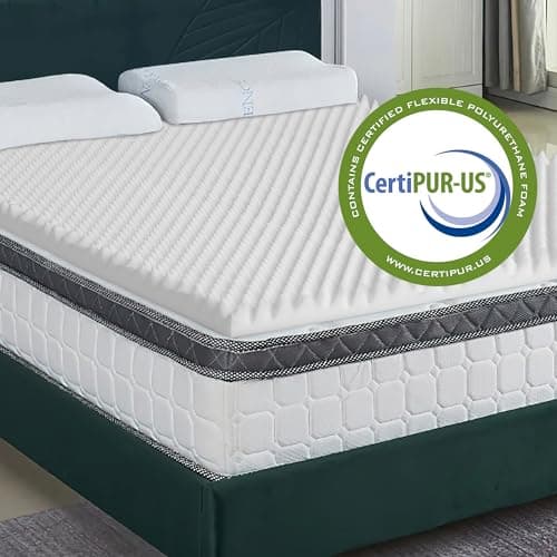 Treaton 1-inch Medium Firm Convoluted Egg Shell Foam Toppers, Twin, Off-White