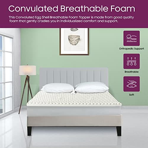 Mayton Convoluted Egg Shell Foam Bed Topper, Queen, Off-White | Comfort, Pain Relief, Orthopedic Support
