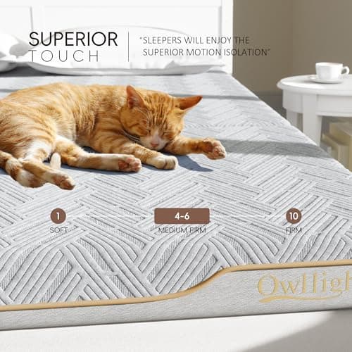 Tri-fold Memory Foam Mattress Topper, Medium Firm, 4 Inch, Washable Cover (Full)
